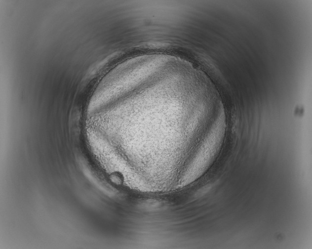 X0000113630542200910091558