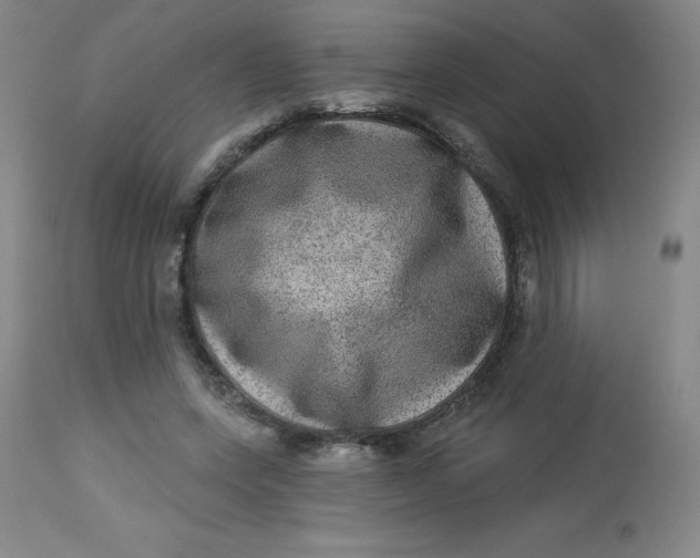 X0000113630543200910091558