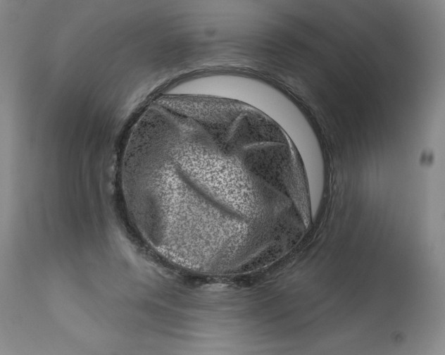 X0000113630544200910091558