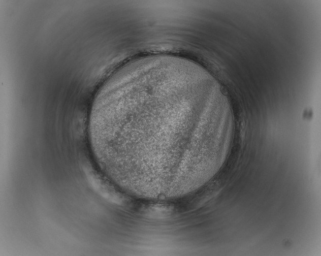 X0000113630546200910091558