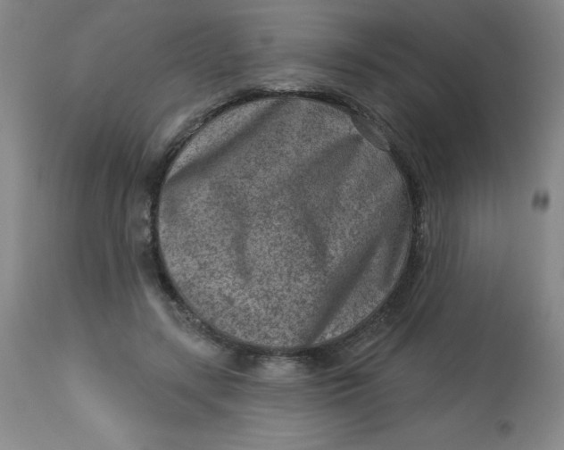 X0000113630547200910091558