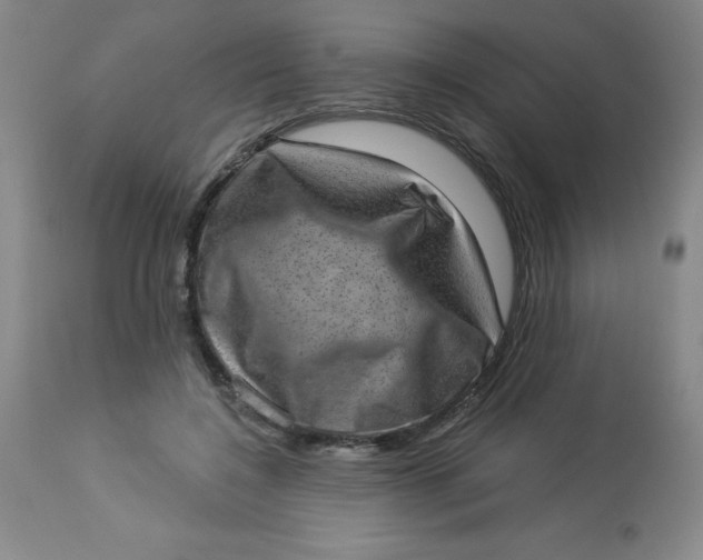 X0000113630548200910091558