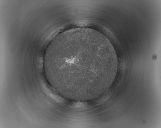 X0000113630549200910091558