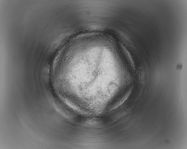 X0000113630550200910091558