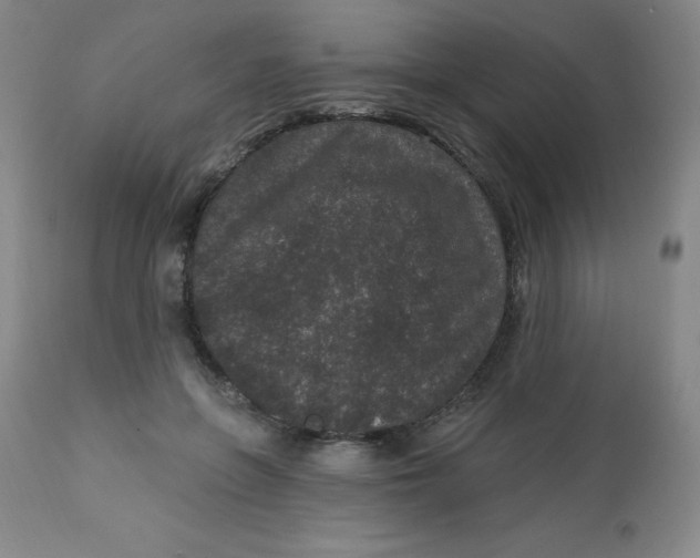 X0000113630551200910091558