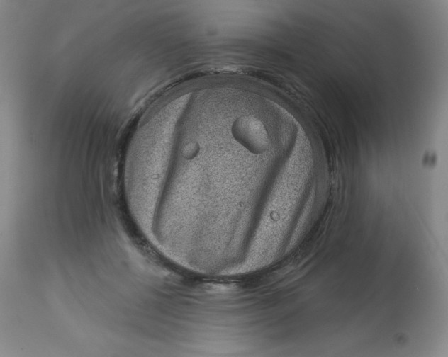 X0000113630552200910091558