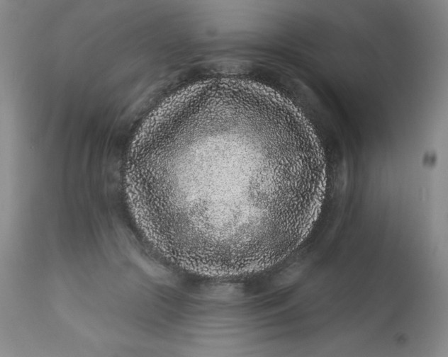 X0000113630553200910091558