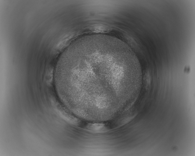 X0000113630554200910091558