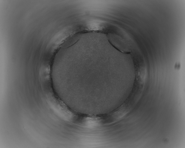 X0000113630556200910091558