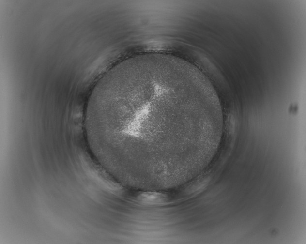 X0000113630557200910091558