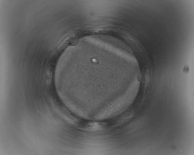 X0000113630558200910091558