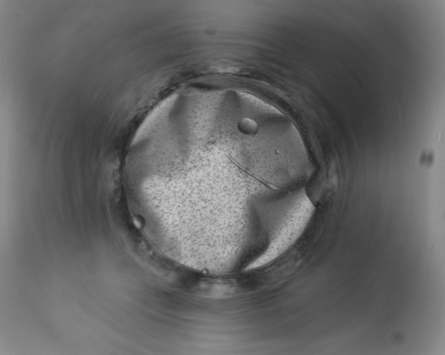 X0000113630559200910091558