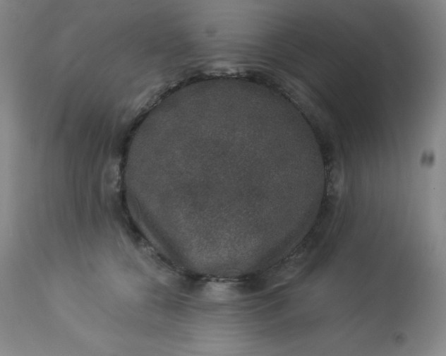 X0000113630560200910091558