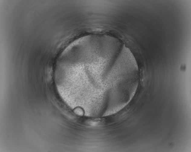 X0000113630563200910091558