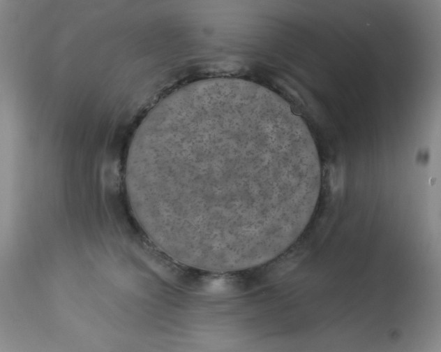 X0000113630564200910091558