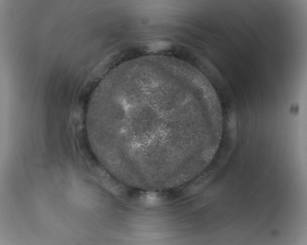 X0000113630565200910091558