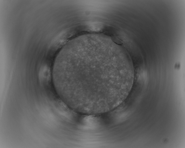 X0000113630568200910091558