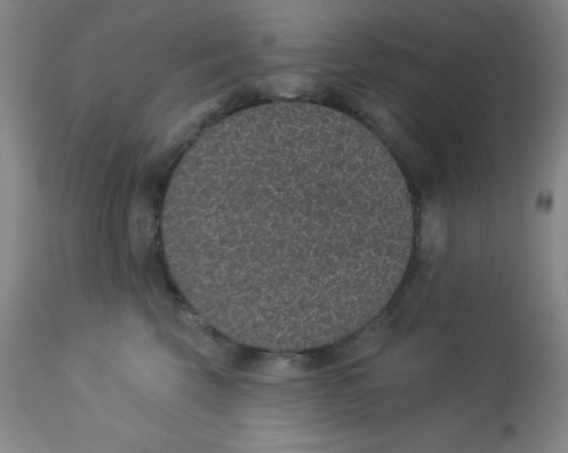 X0000113630569200910091558