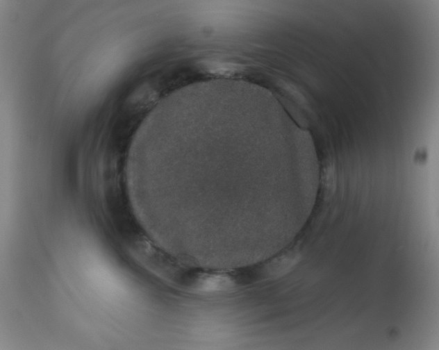 X0000113630572200910091558