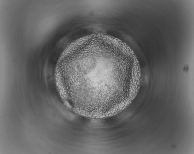 X0000113630573200910091558