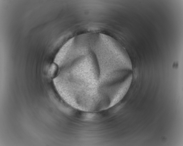 X0000113630575200910091558