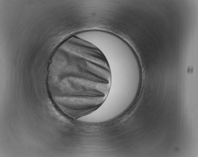 X0000113630577200910091558