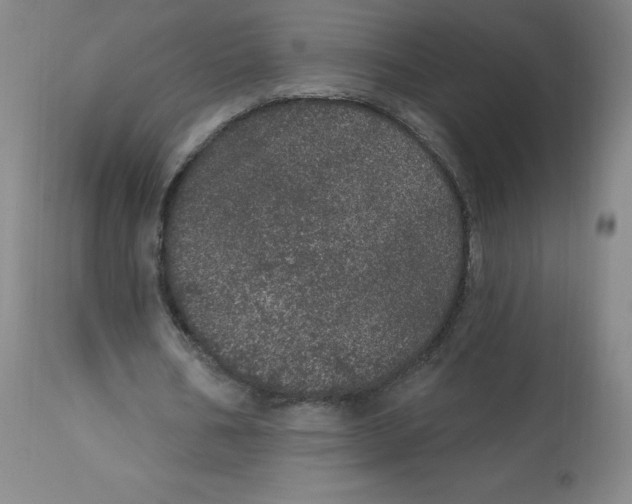 X0000113630578200910091558