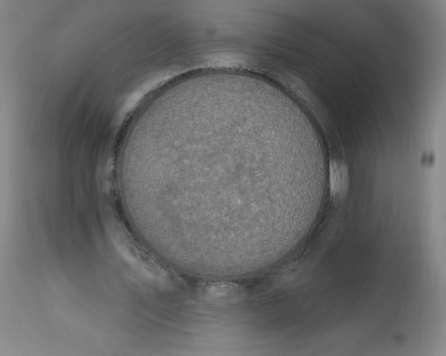 X0000113630579200910091558