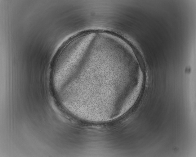 X0000113630580200910091558