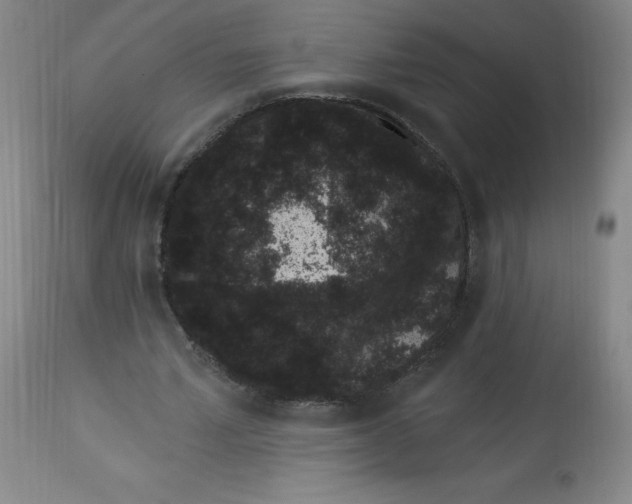 X0000113630581200910091558