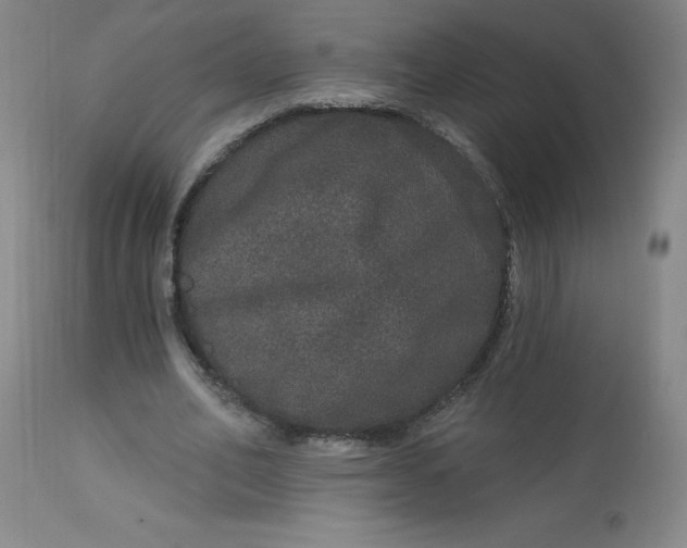 X0000113630582200910091558