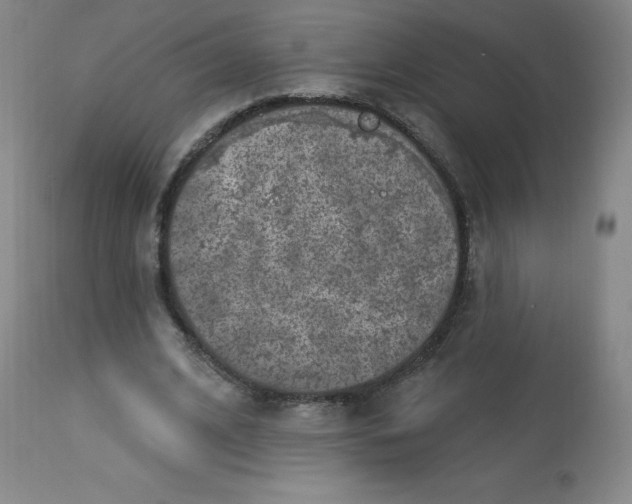 X0000113630584200910091558