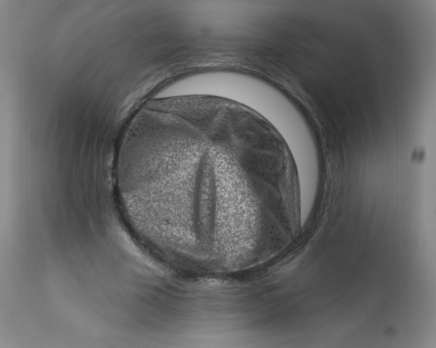 X0000113630585200910091558