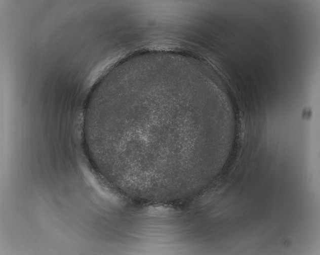 X0000113630586200910091558