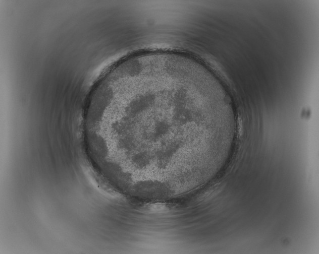 X0000113630588200910091558