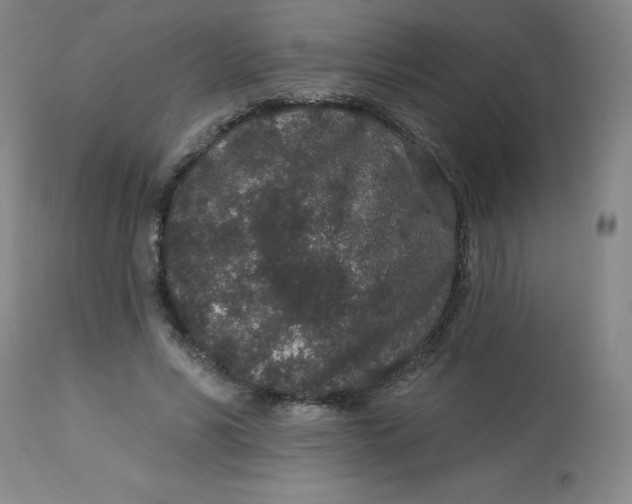 X0000113630590200910091558