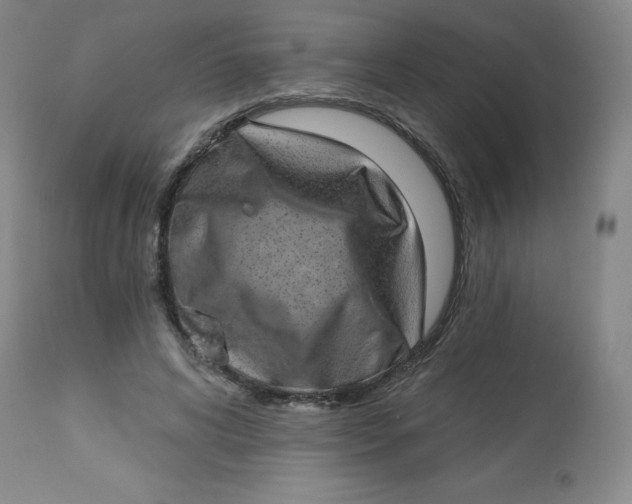 X0000113630592200910091558