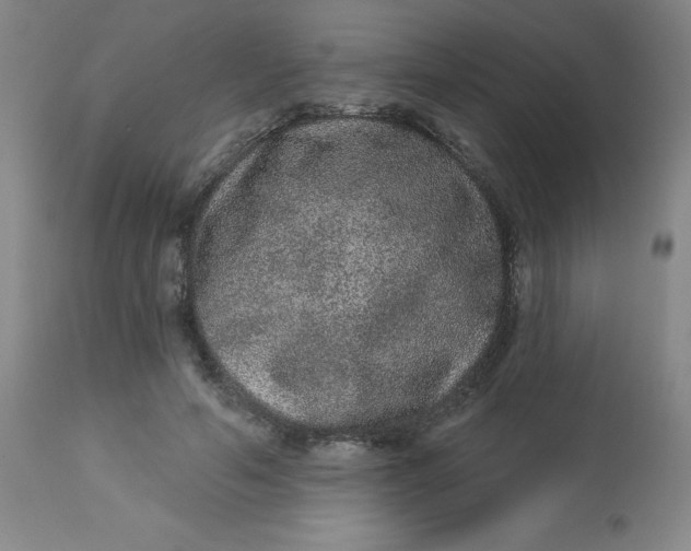 X0000113630594200910091558