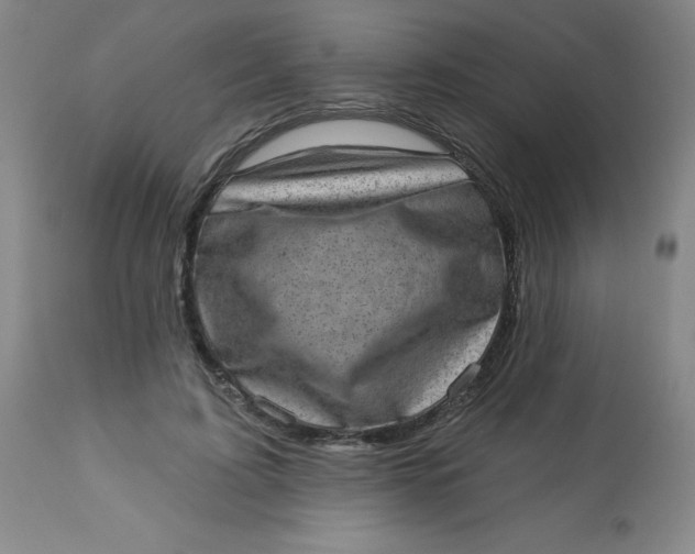 X0000113630595200910091557