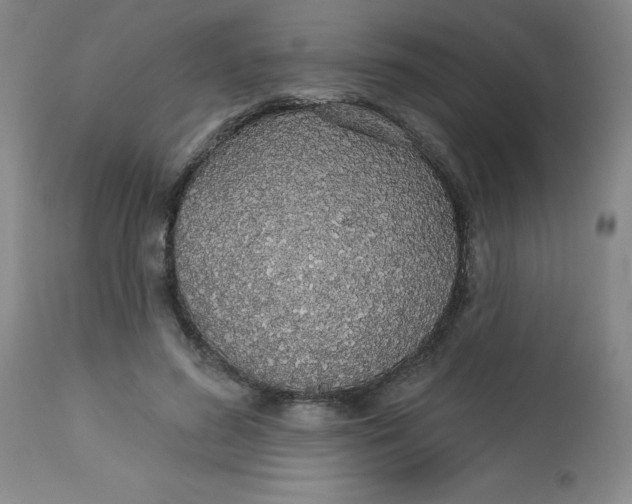 X0000113630596200910091557