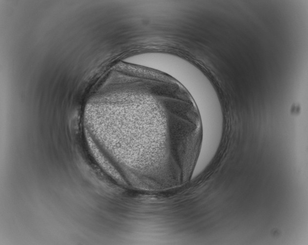 X0000113630597200910091557