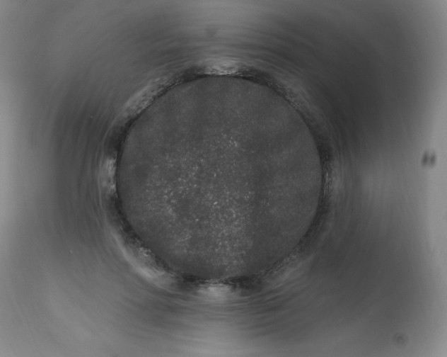 X0000113630598200910091557