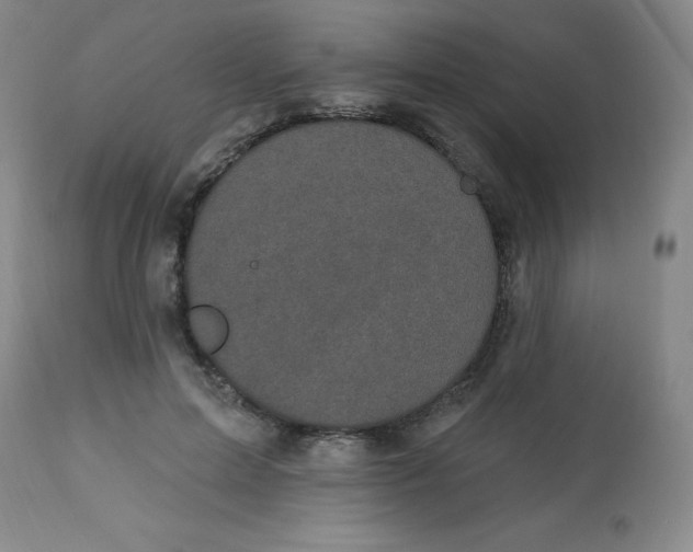 X0000113630599200910091557