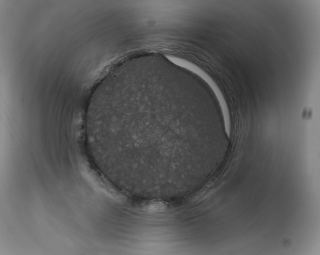 X0000113630600200910091557