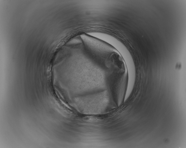 X0000113630601200910091557