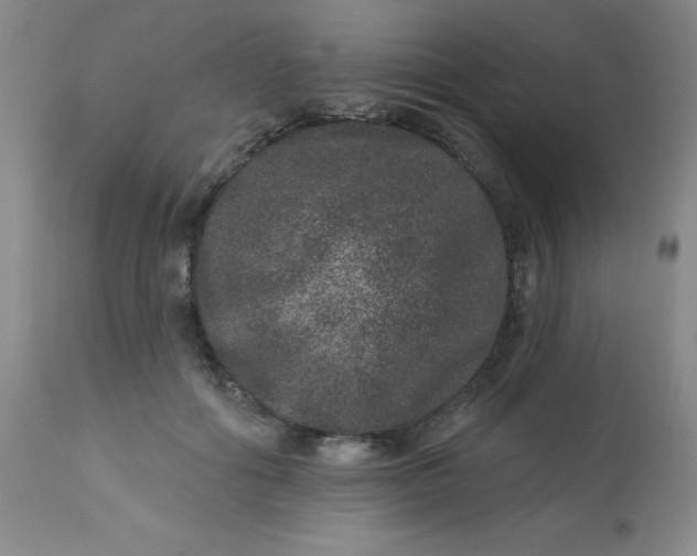 X0000113630602200910091557