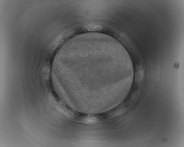 X0000113630604200910091557