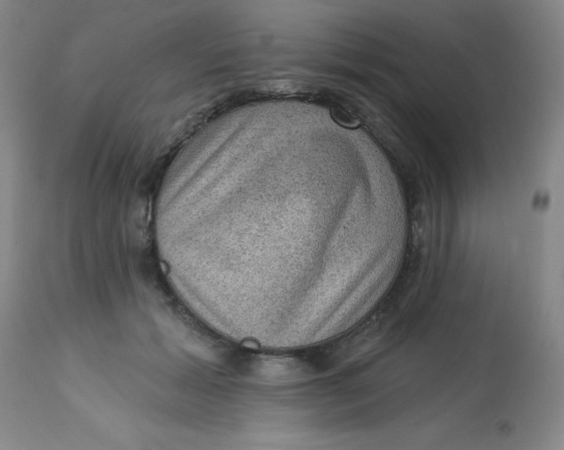 X0000113630605200910091557