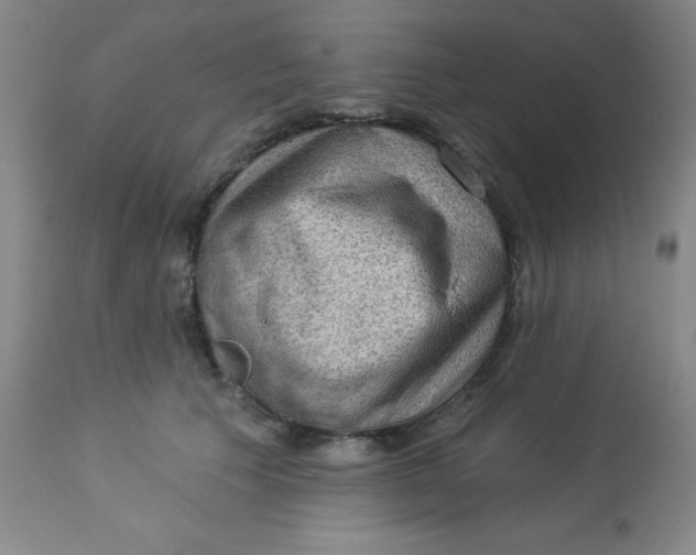 X0000113630609200910091557