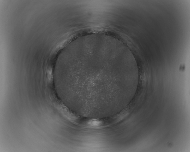 X0000113630610200910091557